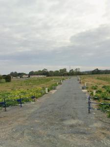 For sale Villedoux 279 m2 Charente maritime (17230) photo 0