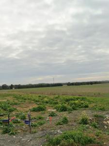 Annonce Vente Terrain Villedoux 17