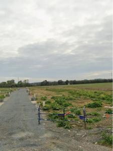 Acheter Terrain 279 m2 Villedoux