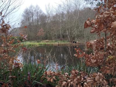 Annonce Vente Maison Belmont 70