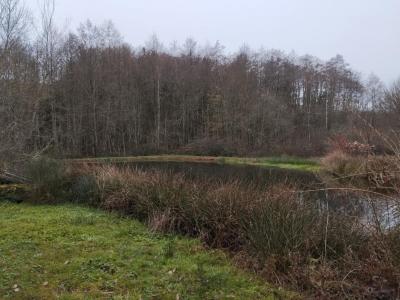 Acheter Maison 190 m2 Belmont