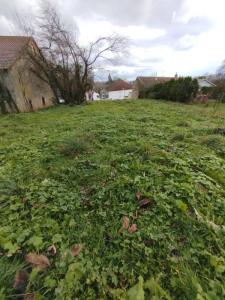 For sale Abelcourt 1291 m2 Haute saone (70300) photo 1