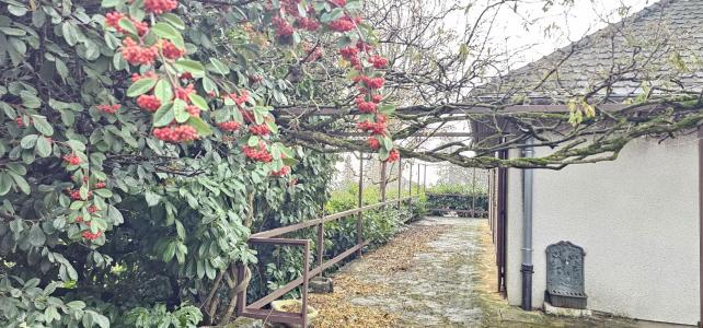 For sale Saint-cyr-au-mont-d'or 4 rooms 92 m2 Rhone (69450) photo 0