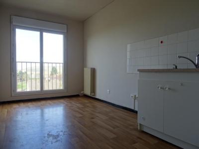 Annonce Location 2 pices Appartement Villeneuve-sur-yonne 89