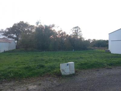 Annonce Vente Terrain Sainte-pazanne 44