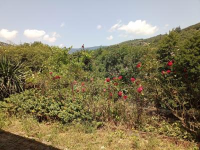 Annonce Vente 3 pices Maison Saint-pons-de-thomieres 34