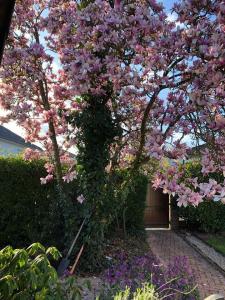 Annonce Vente 5 pices Maison  57