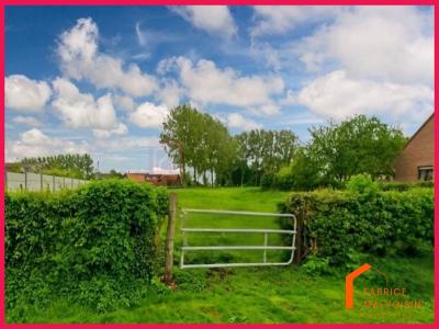 Annonce Vente Terrain Penin 62