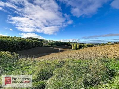 Annonce Vente 6 pices Maison Salvagnac 81