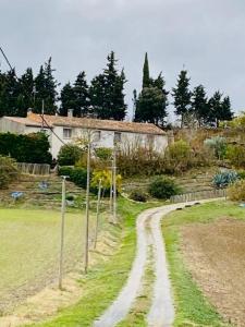 Annonce Vente 6 pices Maison Villarzel-du-razes 11