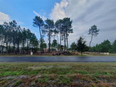 Annonce Vente Terrain Saugnacq-et-muret 40