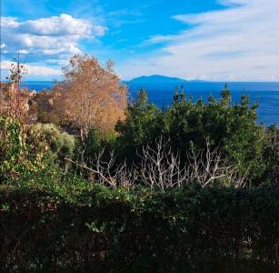 For rent Bastia 2 rooms 45 m2 Corse (20200) photo 4