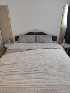 Louer Appartement Lyon-6eme-arrondissement 599 euros