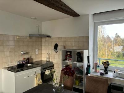 Annonce Location 3 pices Appartement Mayenne 53