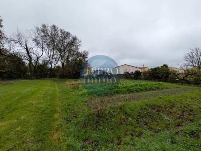 Annonce Vente Terrain Vertou 44