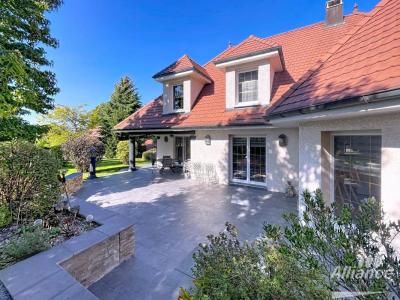 Annonce Vente Prestige Dannemarie 68