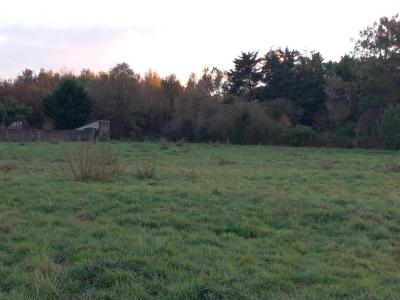 Annonce Vente Terrain Arthon-en-retz 44