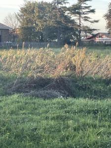 For sale Gujan-mestras 738 m2 Gironde (33470) photo 2