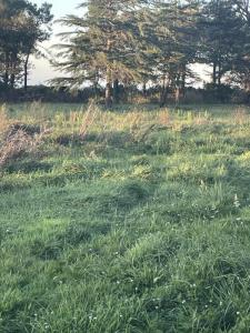 For sale Gujan-mestras 738 m2 Gironde (33470) photo 3