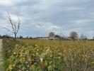 For sale Land Libourne  286 m2