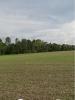 For sale Land Anais  439 m2