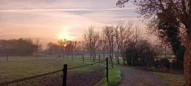 For sale Ancenis 5 rooms 146 m2 Loire atlantique (44150) photo 2