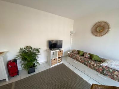 For rent Avignon 1 room 27 m2 Vaucluse (84000) photo 1