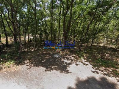 Acheter Terrain 3039 m2 Prades