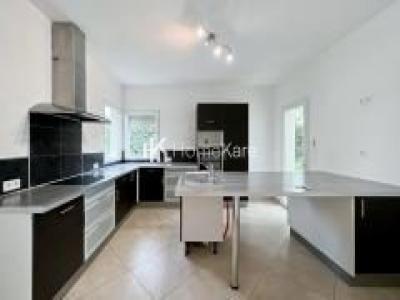 Acheter Maison Saint-alban Haute garonne