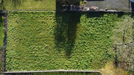 Acheter Terrain 849 m2 Saint-meen-le-grand