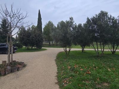 Acheter Prestige 420 m2 Avignon