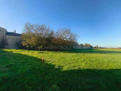For sale Puyravault 1143 m2 Charente maritime (17700) photo 0