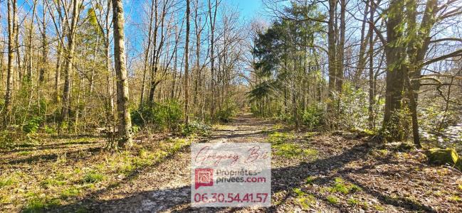 For sale Ferte-sous-jouarre 32767 m2 Seine et marne (77260) photo 0