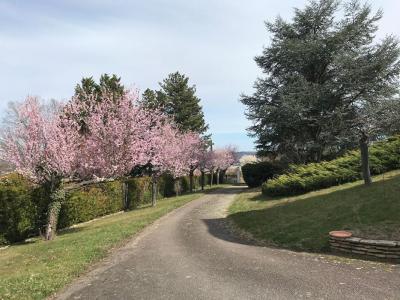 For sale Montlucon 9 rooms 280 m2 Allier (03100) photo 2