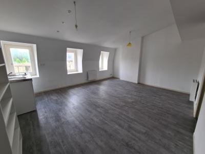 For rent Nancy 2 rooms 40 m2 Meurthe et moselle (54000) photo 3