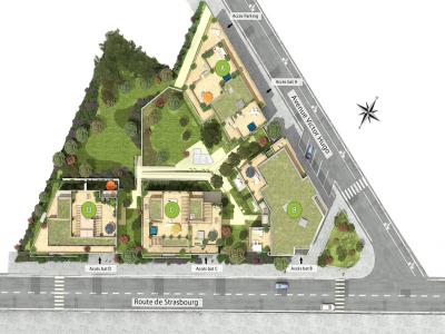 Acheter Programme neuf Rillieux-la-pape Rhone