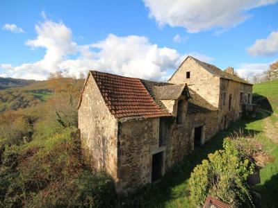 Annonce Vente 2 pices Maison Najac 12