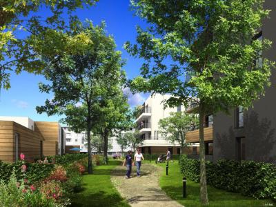 Annonce Location 2 pices Appartement Tours 37