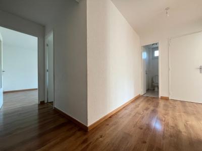 Louer Appartement Nice Alpes Maritimes