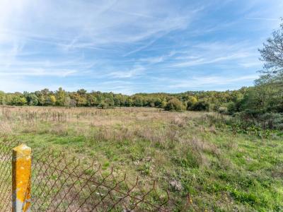 Annonce Vente 8 pices Maison Saint-martin-du-bois 33