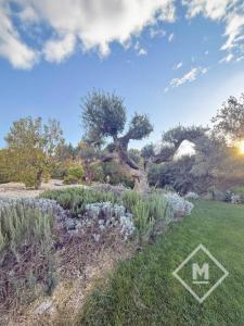 Acheter Maison Septemes-les-vallons 990000 euros