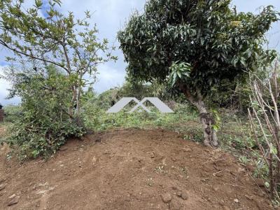Annonce Vente Terrain Tampon 974