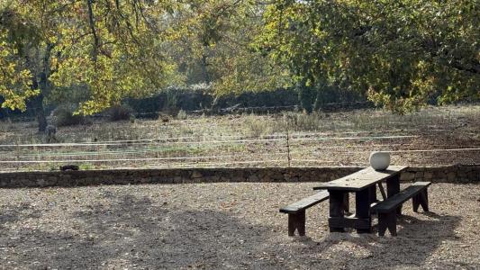 Acheter Prestige Tourrettes Var