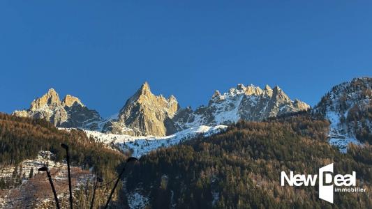 Acheter Commerce Chamonix-mont-blanc Haute savoie