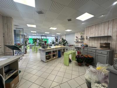 Annonce Vente Immeuble Beaurepaire 38