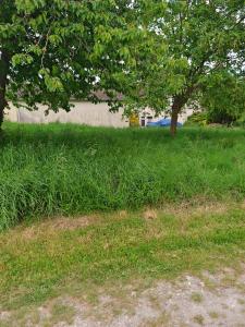 Annonce Vente Terrain Villenauxe-la-grande 10