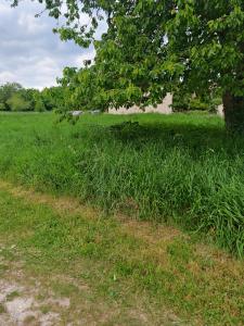 Acheter Terrain Villenauxe-la-grande