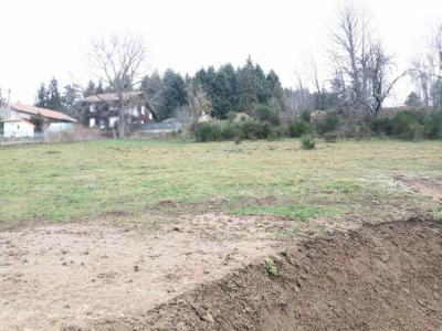 Annonce Vente Terrain Estivareilles 42