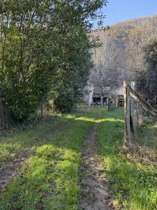 Annonce Vente 4 pices Maison Crespin 12