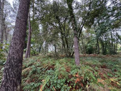 Acheter Terrain Escalans